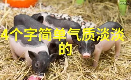 火星文非主流网名探秘揭开那些不为人知的字体世界