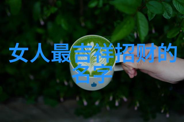 古韵墨香轻舟过渡花