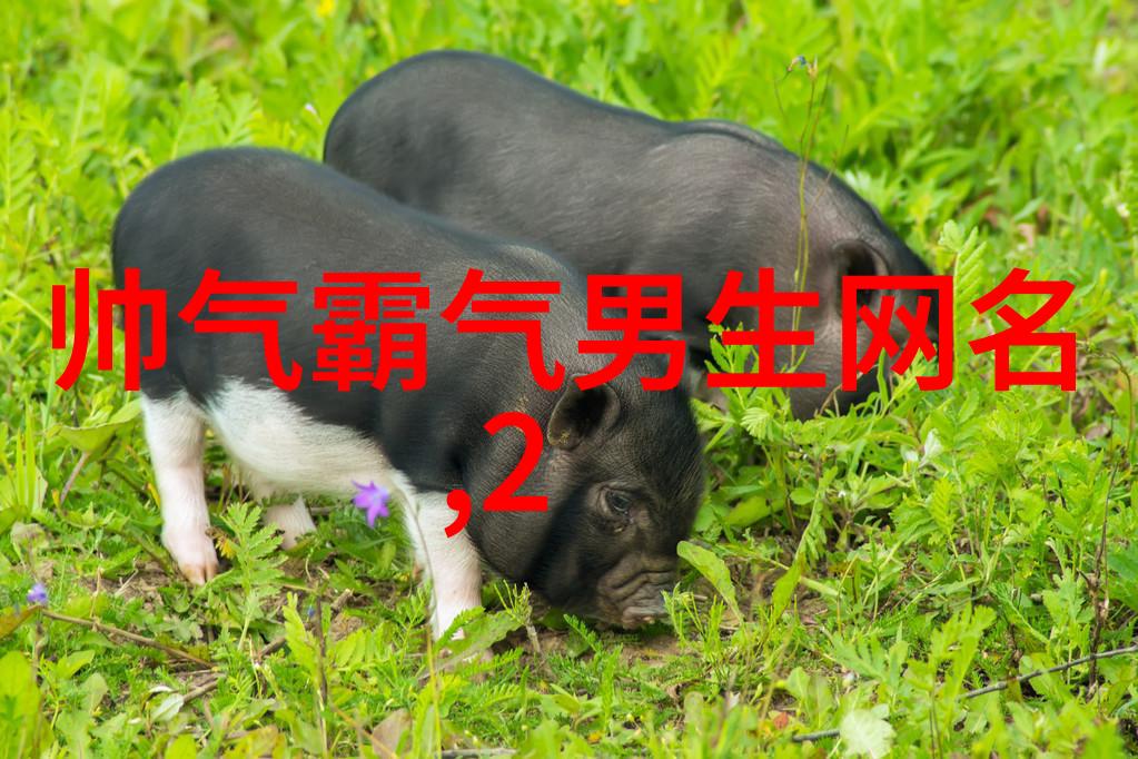 不同类型的洗砂机会解决什么问题