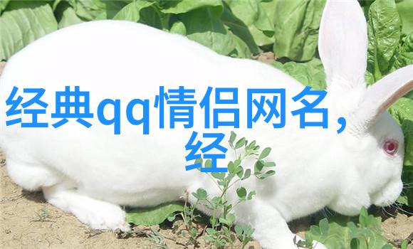 为什么这么多网名都让人心酸到想哭