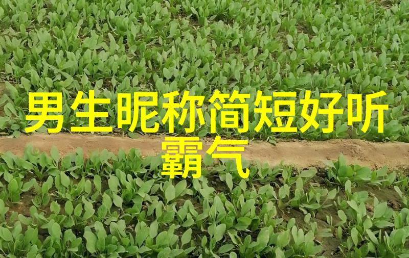寻宝古韵揭秘罕见好听的古风昵称
