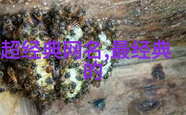 2021最旺财旺运的微信网名女u-Mayday美丽篇