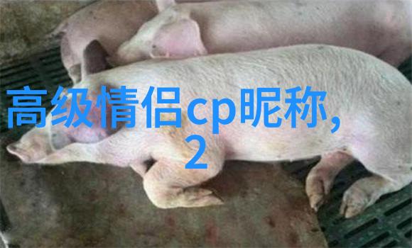 盗墓笔记2txt盗墓笔记第二部的网络小说
