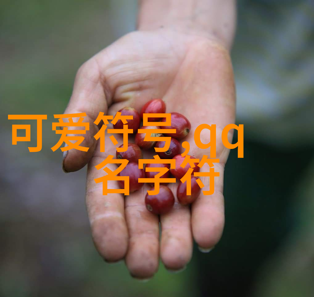 气质网络追逐心灵的美丽篇章