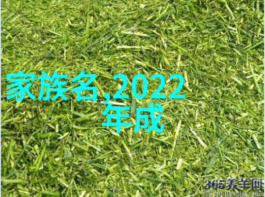 仙气清冷男神岁月苍老的讽刺森系脱俗