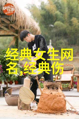 重生之王妃温凉我是穿越者从宫廷斗争到自主生活的奇妙旅程