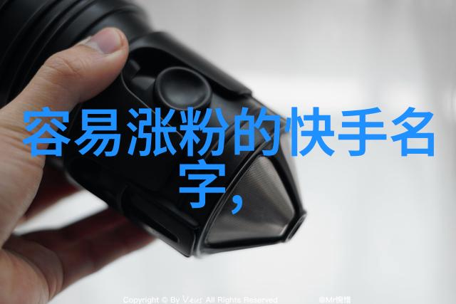 时尚潮流与古典韵味融合现代人如何选择适合自己形象的可爱个人标识设计方案