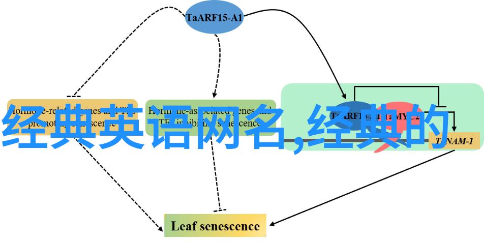 最吉祥的微信名字我来教你选一个让人羡慕的