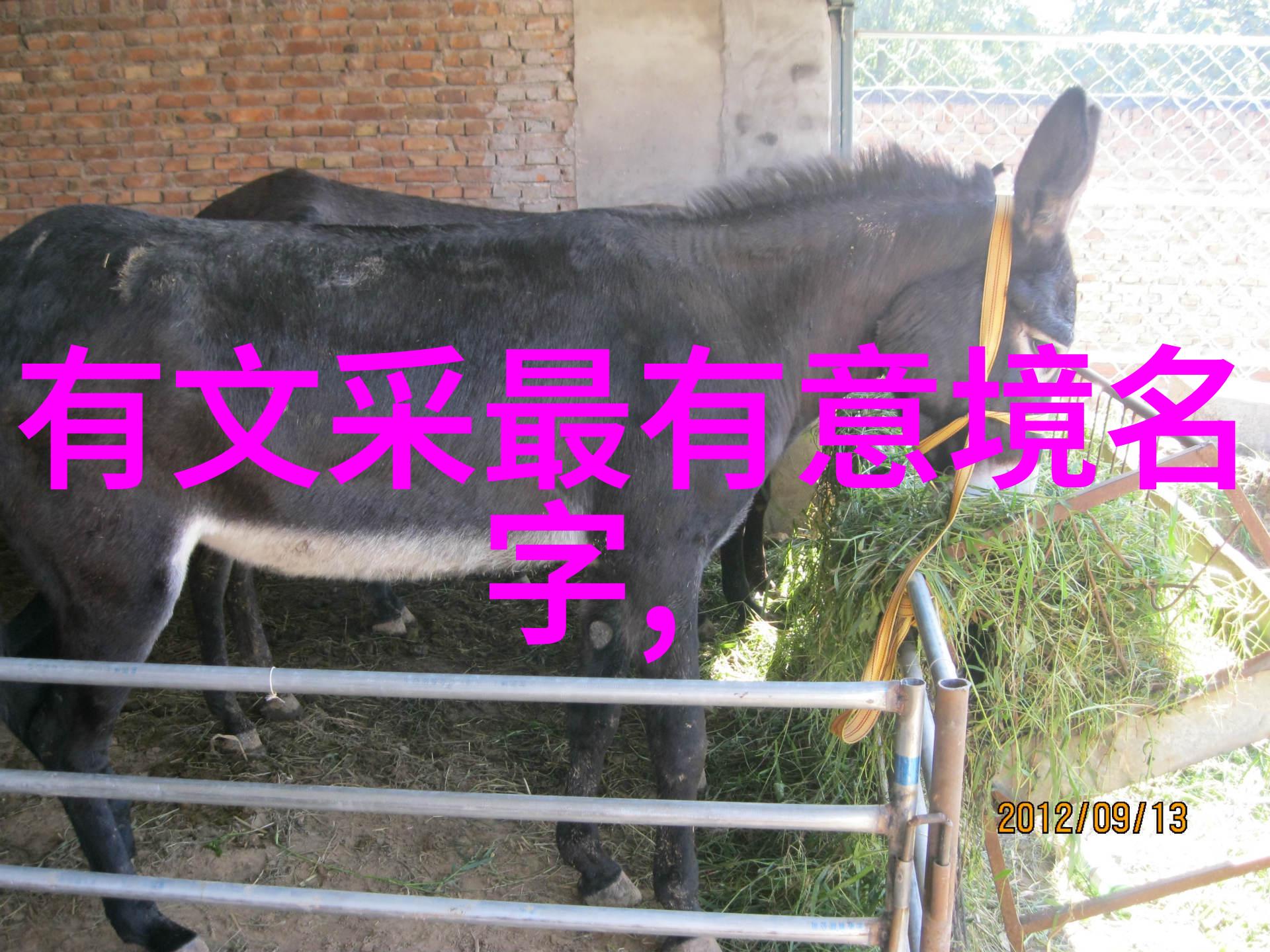 工业用途中的润滑神器保证机械运转的液态守护者