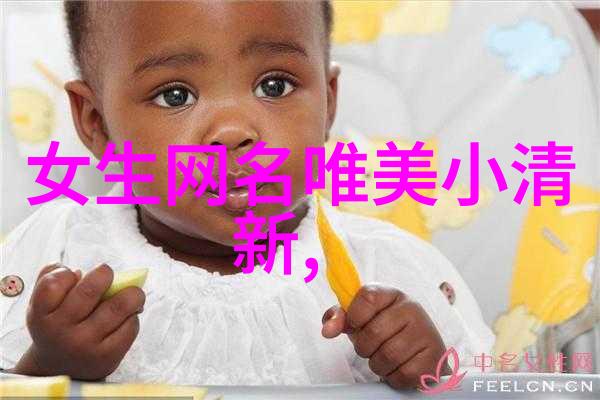 双生灵魂单一身份二人昵称搭档之道探究
