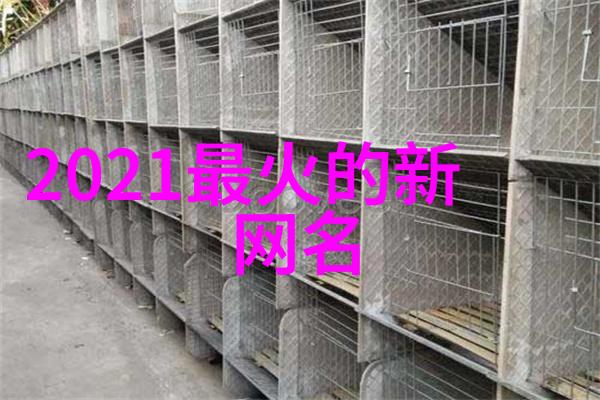 传奇名字我如何成为一名传奇的故事