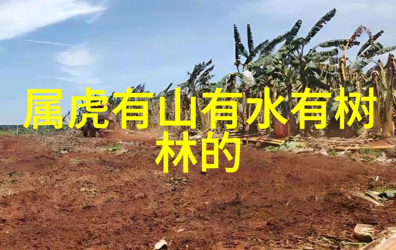 社会中经典男生网名娓娓动听精选