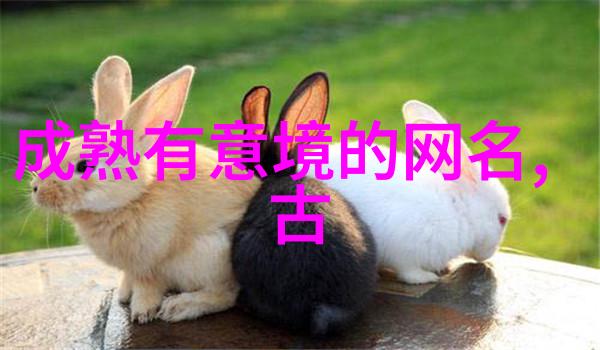 网名小姐女生好听的幽默网名大集合