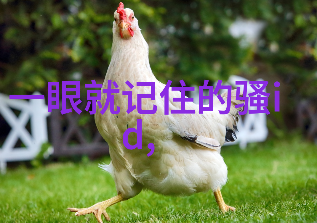 三字有杀气的物品昵称冰刃