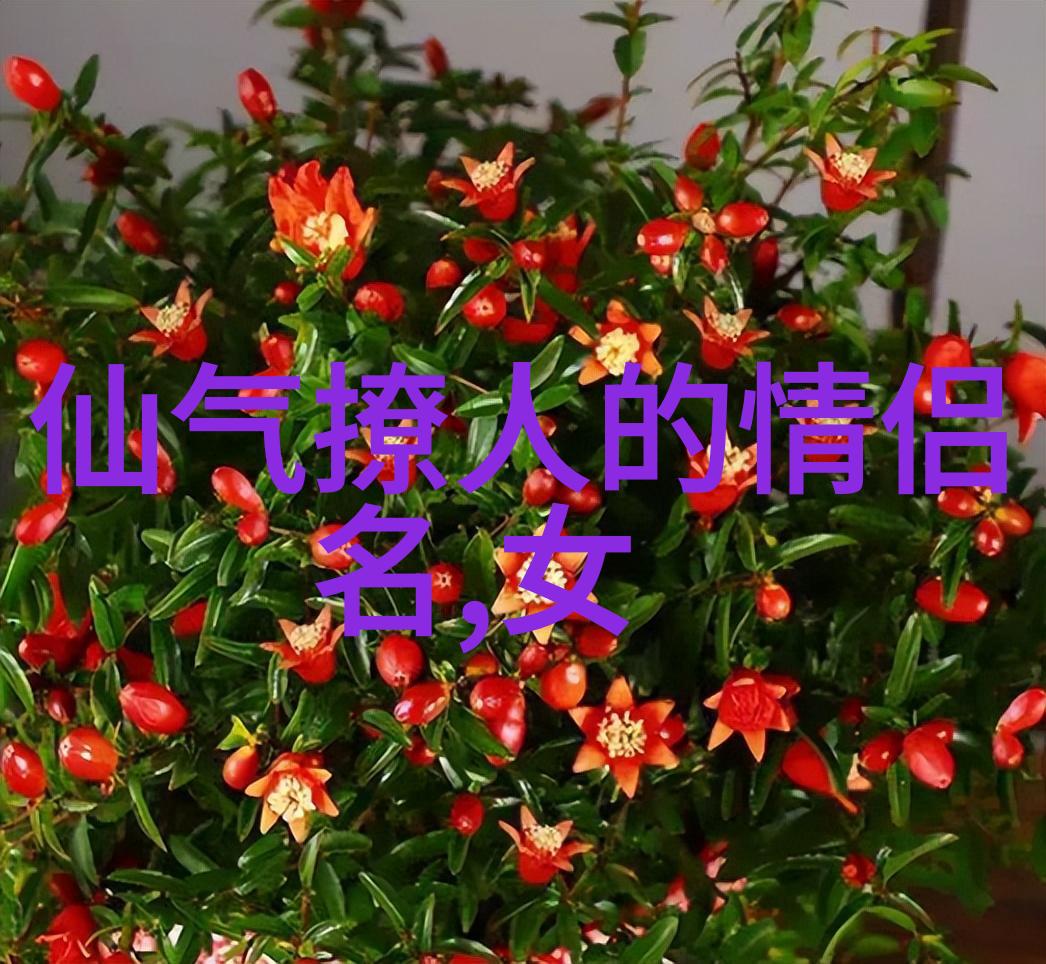 老年生活-607080老太太的温暖故事
