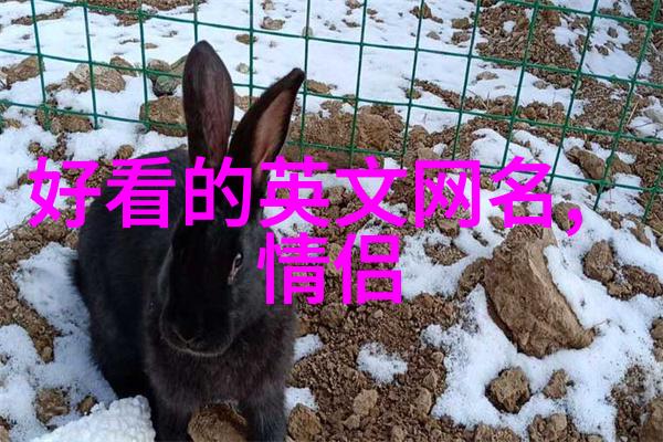 激励启航