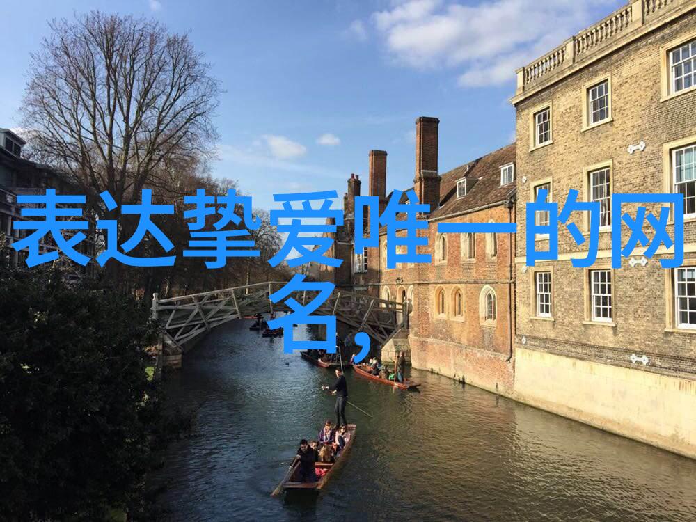 消失的她揭秘影片中的迷雾与真相