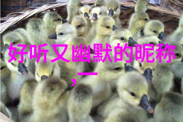 王者荣耀id沙雕搞笑 - 游戏之巅的傻瓜探索王者荣耀中那些搞笑ID的故事
