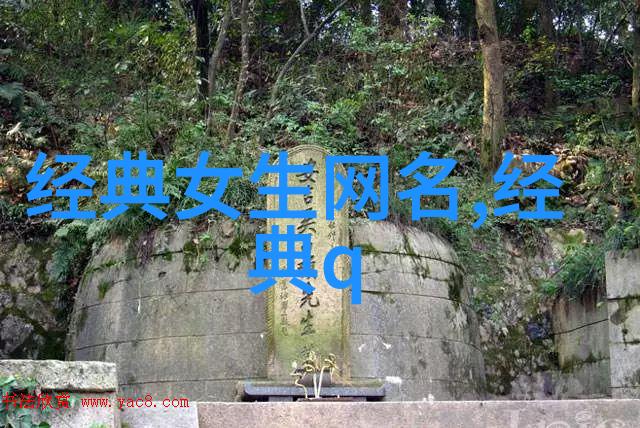 双面胶带贴不掉的记忆与日常的小小挑战