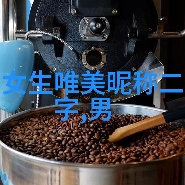 燃烧的智慧两段式煤气发生炉的秘密