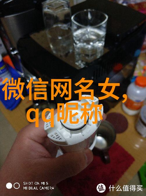 轻盈网名女生简约时尚的网络身份