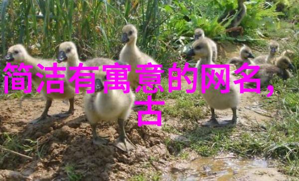 逆袭四字真言从卑微到巅峰的奇迹之路