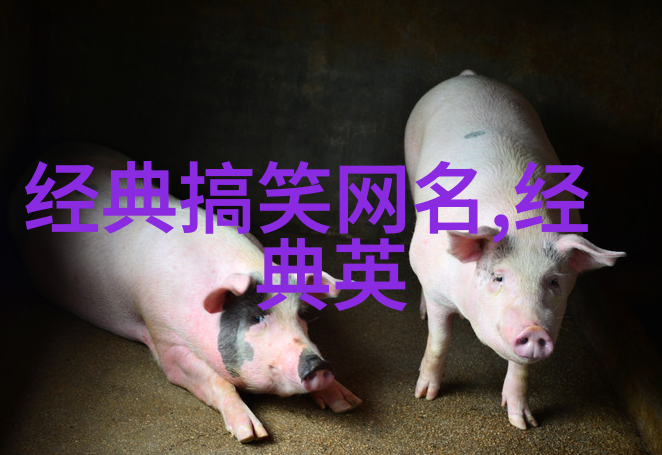 干净的冷门网名寻找真实的自我