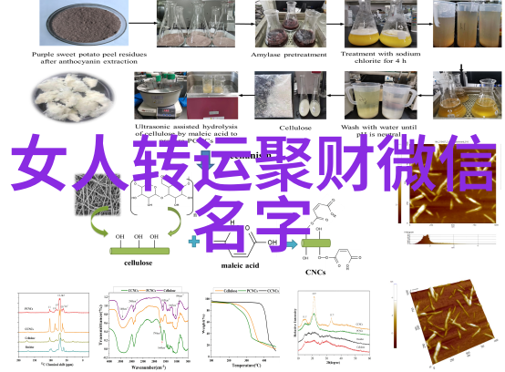 和谐之音为新生儿命名的艺术