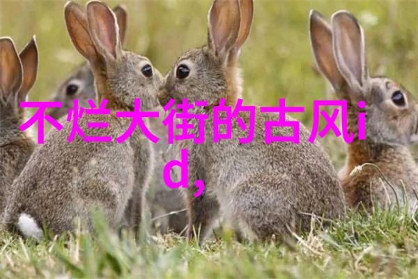 绽放诗意探索唯美女生网名的艺术与魅力
