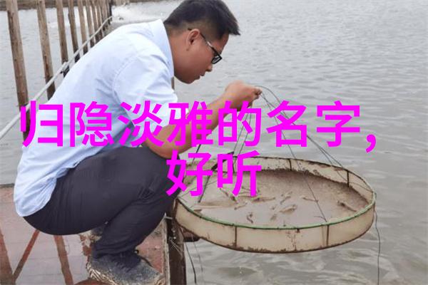 星际织梦者织网于浩瀚之中