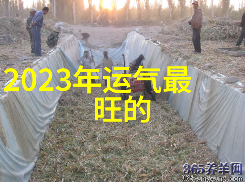 坏男人公子哥-玩世不恭的风度揭秘坏男人公子哥背后的魅力