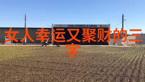 精英的和平一字之变
