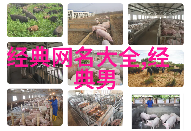 浪漫网恋泡女人的艺术与技巧