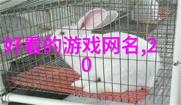 异域风情外国人的名字背后的故事