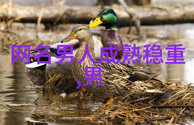火焰的掌控者电炉的秘密世界