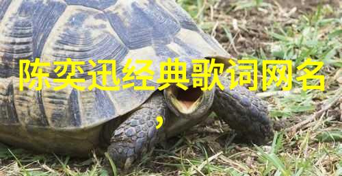 你的QQ英文网名背后隐藏着什么故事
