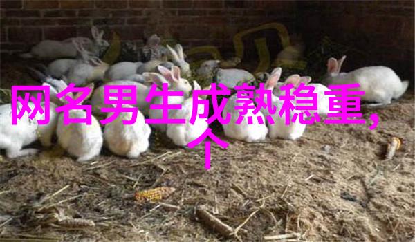 虚拟空间里的女神解锁QQ女生网名的秘密