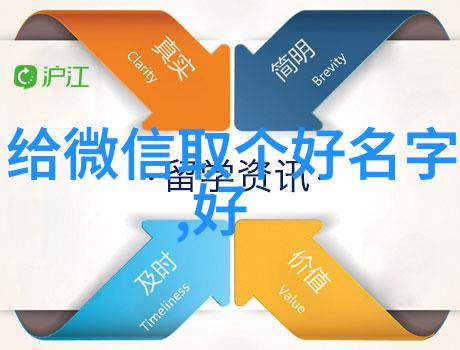 从BIGBROTHER到DIAMONDUNCLE探索60后男性改变自我形象的过程及其影响因素