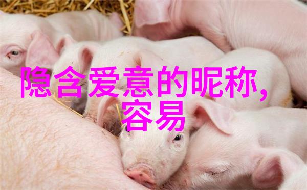 好听的佛教网名bao鲍妹