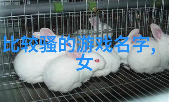 古风网名奇思妙想探秘江湖雅号的艺术与魅力