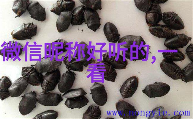 微信网名昵称大全创意无限个性闪耀