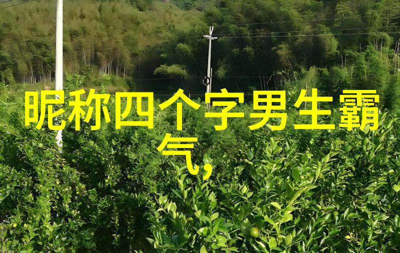 安之若素解析这句古话背后的哲理与智慧