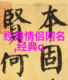 爱情密码心跳与文字的交响篇章