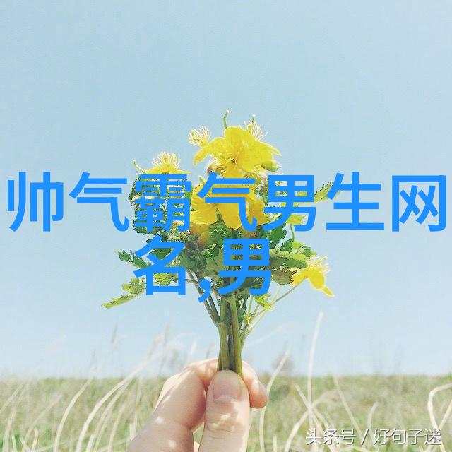 情侣名字甜蜜蜜情侣专用好基友的个性网名甜蜜蜜好基友共赴网络世界的浪漫之旅