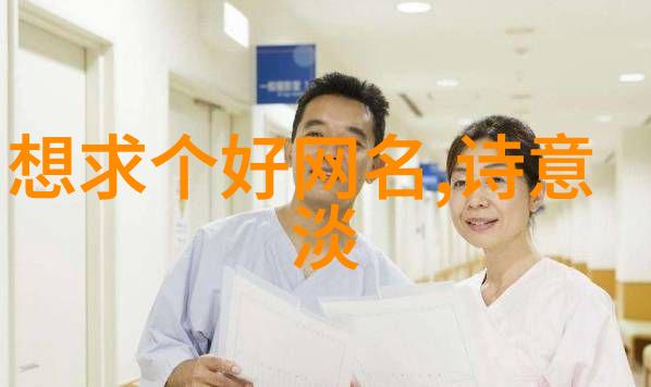 诗意儒雅网名推荐文艺范儿的网络昵称