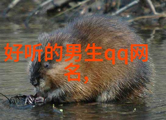 古韵悠长情感共鸣超经典网名选集
