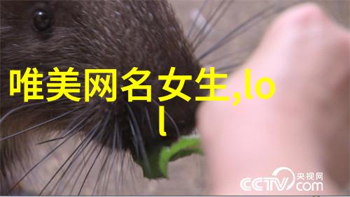 霜华依旧三个字透着仙气的高雅名字