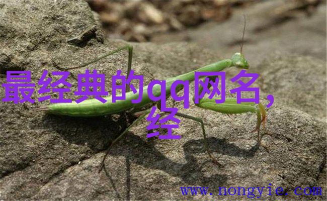 伤感游戏英文网名