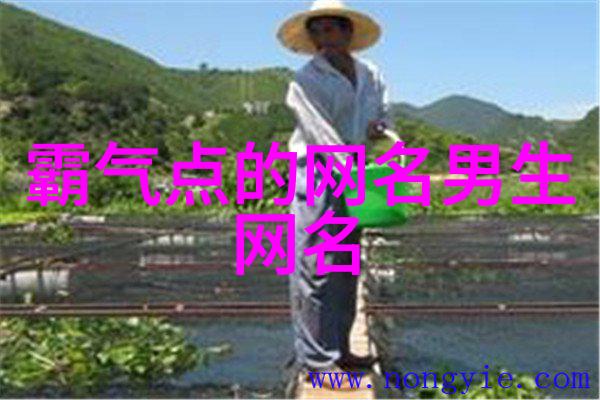 诗意编织的网名字里行间的故事与韵味