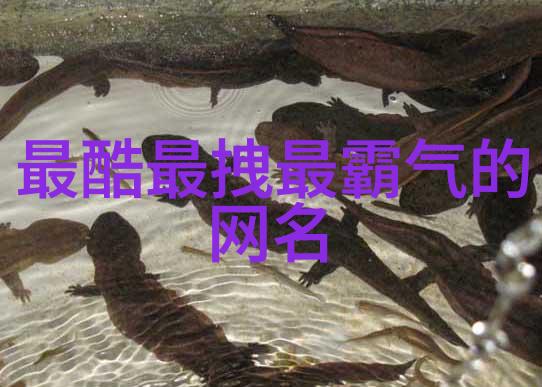 主题我是id小众且高级伤感的网红如何在社交媒体上表达不经意间的忧郁